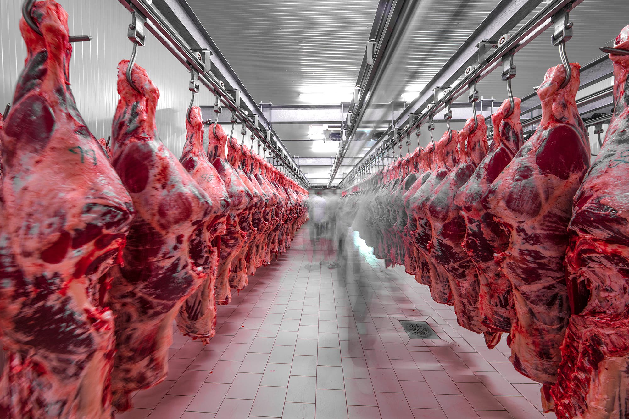 China detectó coronavirus en un empaque de carne argentina