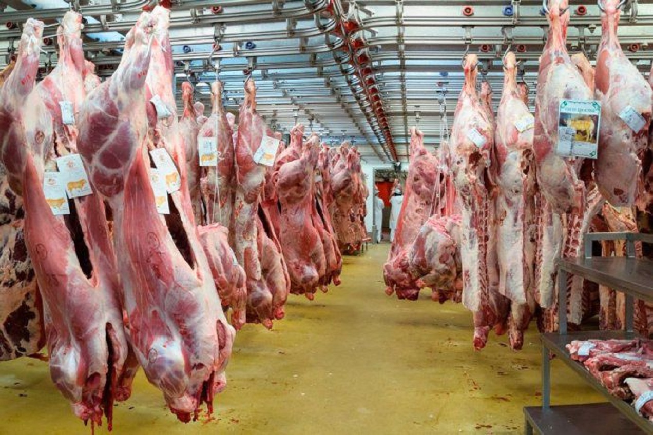 Nación ejerce mayores controles: Las exportaciones de carne ahora deberán ser informadas e inscriptas en una declaración jurada