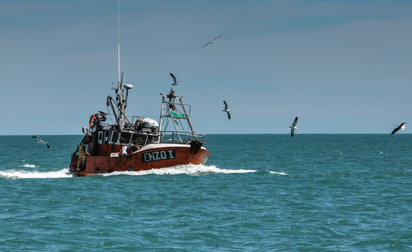 La Cámara Pesquera del Chubut le pidió al Gobierno que realice gestiones para que los productos de mar queden exentos del derecho a la exportación