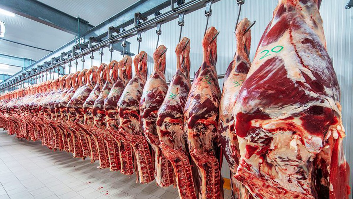 Cepo a la carne: Suspenden exportaciones de siete cortes parrilleros por dos años y liberan las de vacas de conserva