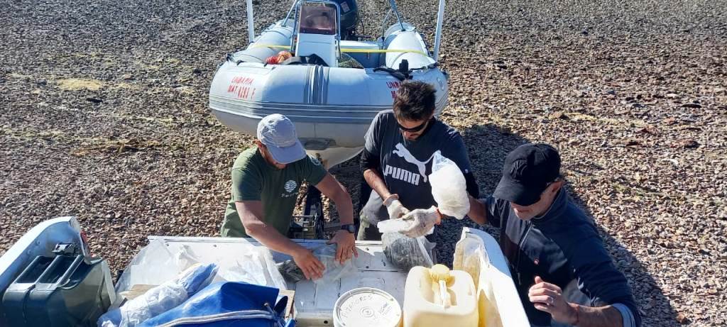 Marea Roja: El Gobierno tomó muestras en zona sur para confirmar presencia o ausencia de una toxina amnésica