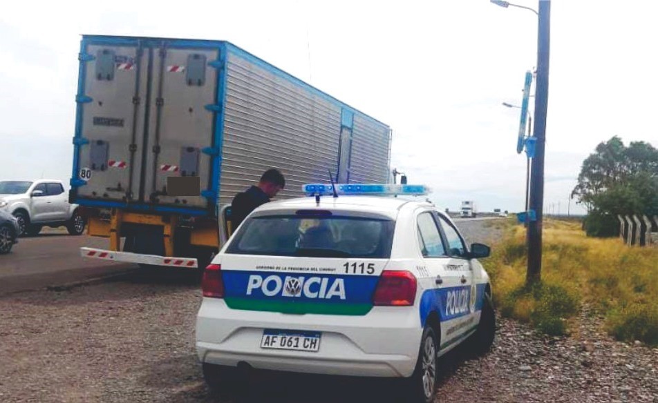 Secuestraron más de 13.000 kilos de langostinos en Chubut que no tenían documentación