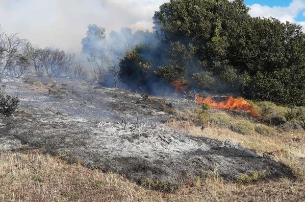 Brigadistas contuvieron el incendio en cercanías del Parque Nacional Los Alerces y ahora trabajan sobre el perímetro