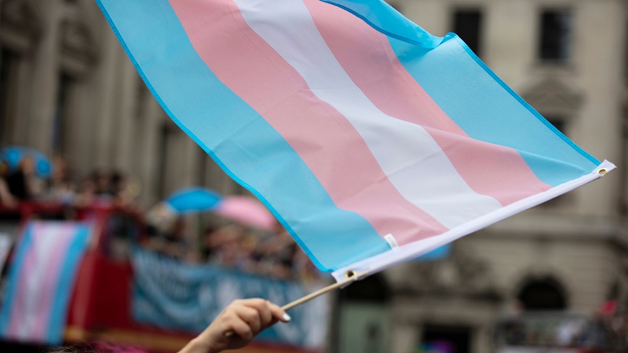 Organizaciones convocan a celebrar el próximo domingo los 10 años de la ley de Identidad de Género
