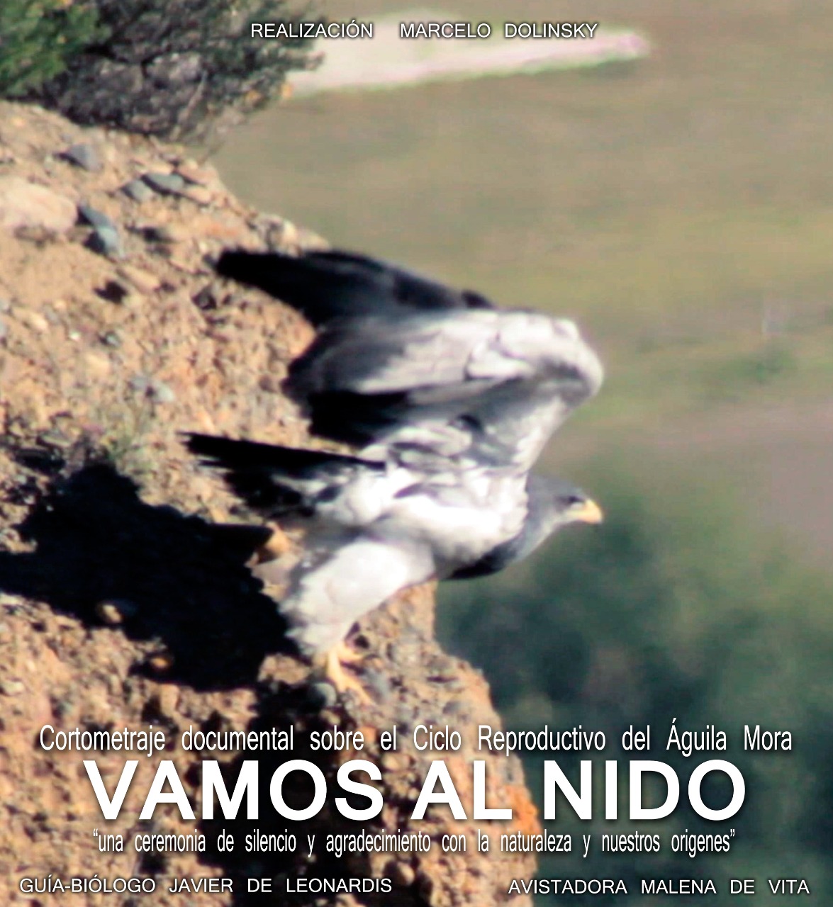 Comenzó la presentación del cortometraje “Vamos al nido” en Esquel y Trevelin