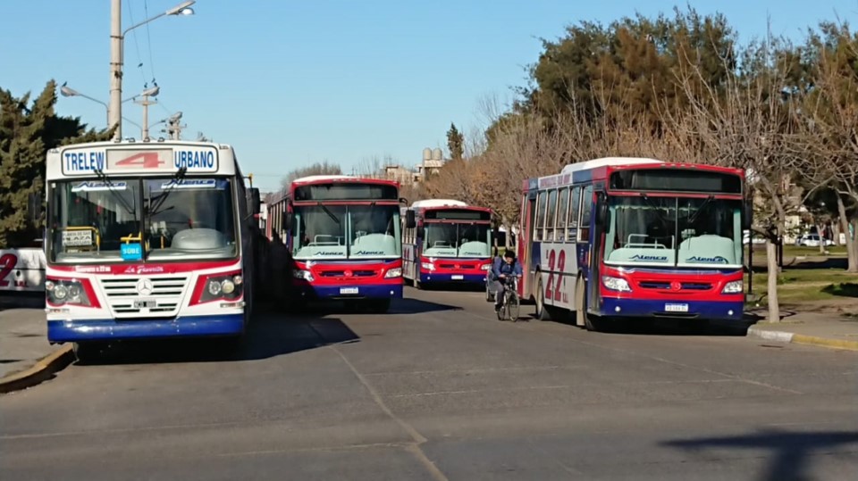 Trelew: El servicio de transporte urbano está funcionando con dos colectivos por línea