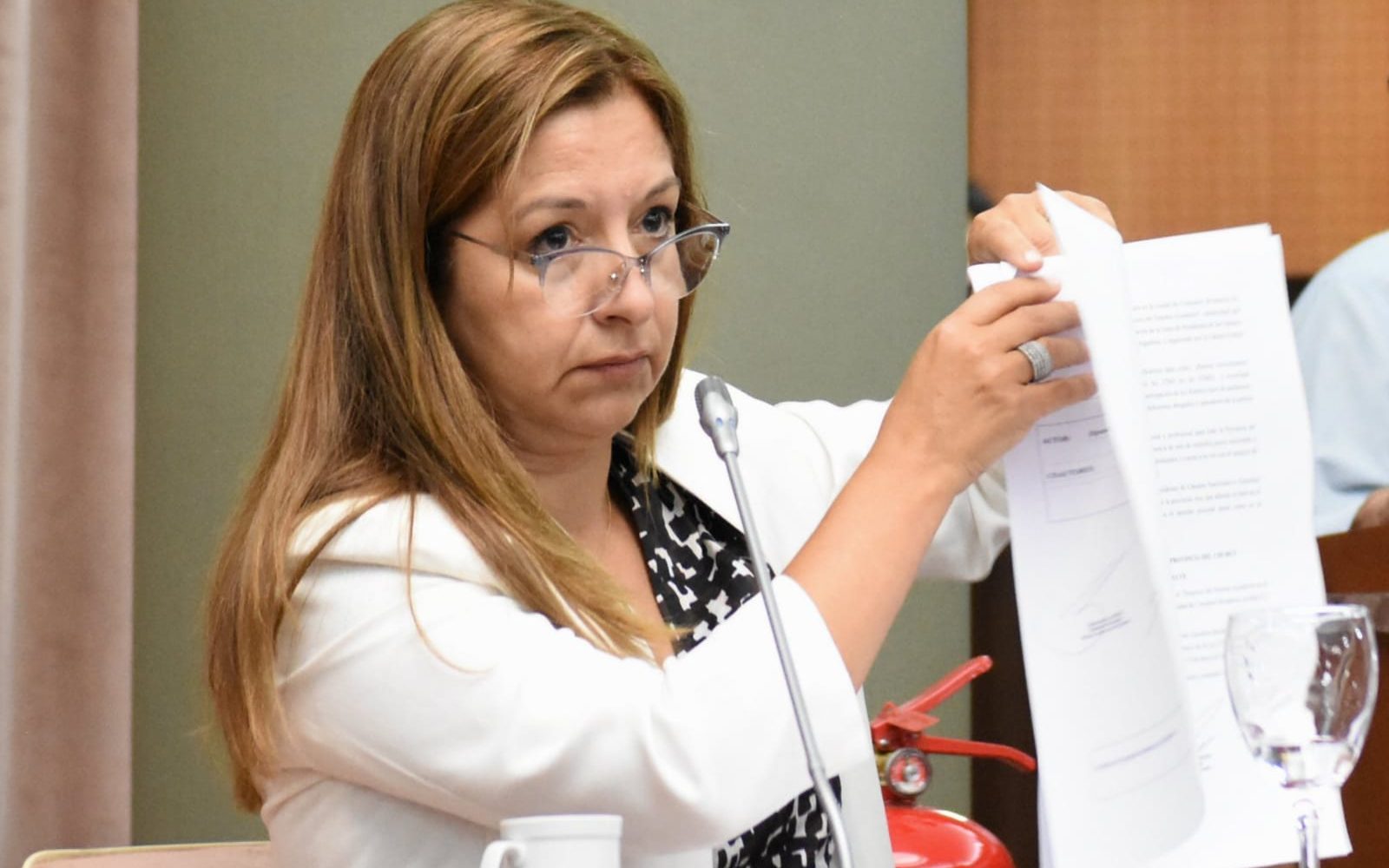 Aguilera: “Legislar de forma improvisada es perjudicar a Chubut”