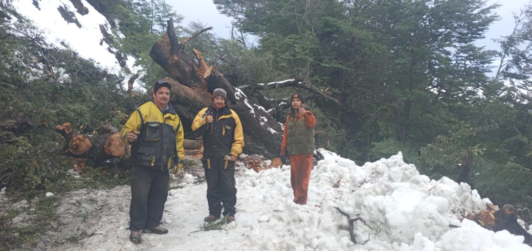 Emergencia Climática: Habilitaron el paso vehicular en la Ruta Provincial N° 71 tras un alud de nieve