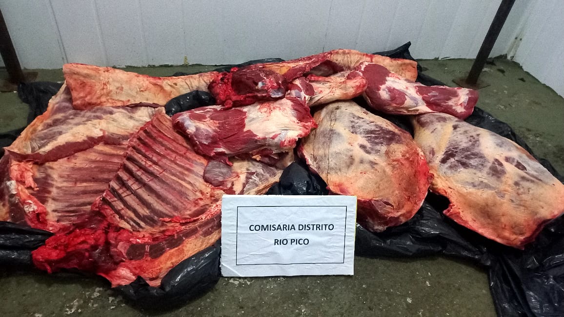A un empleado de Vialidad Provincial de Chubut le incautaron ocho bolsas de carne que transportaba en un camión del organismo