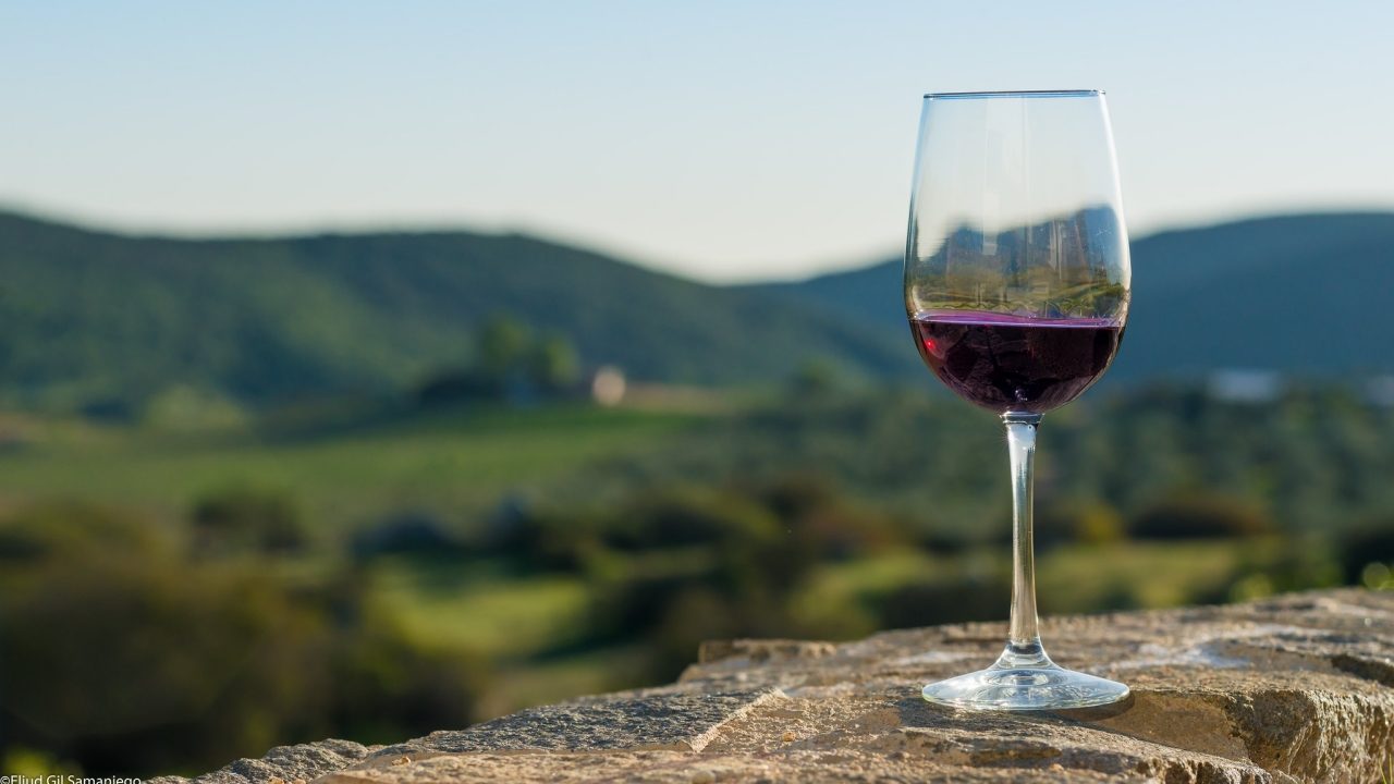 Chubut ya está en el séptimo lugar del país en producción de vinos orgánicos