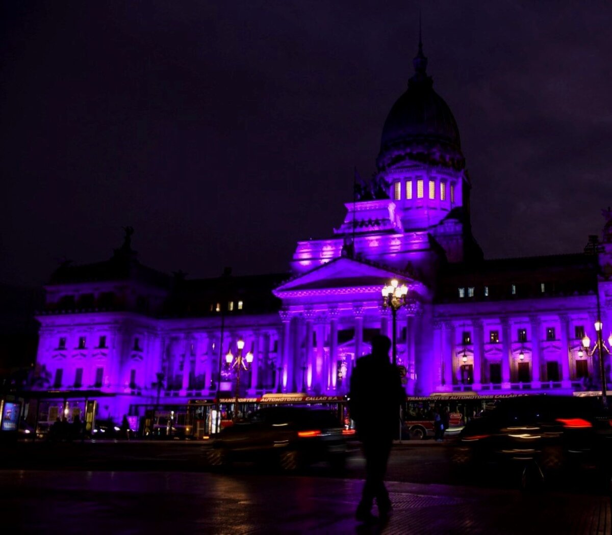 El Congreso se iluminó de violeta para concientizar sobre el Alzheimer