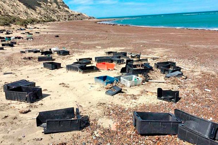 Residuos pesqueros en Chubut: Se avanza en la firma de un convenio de trabajo para remediar el impacto ambiental de la actividad