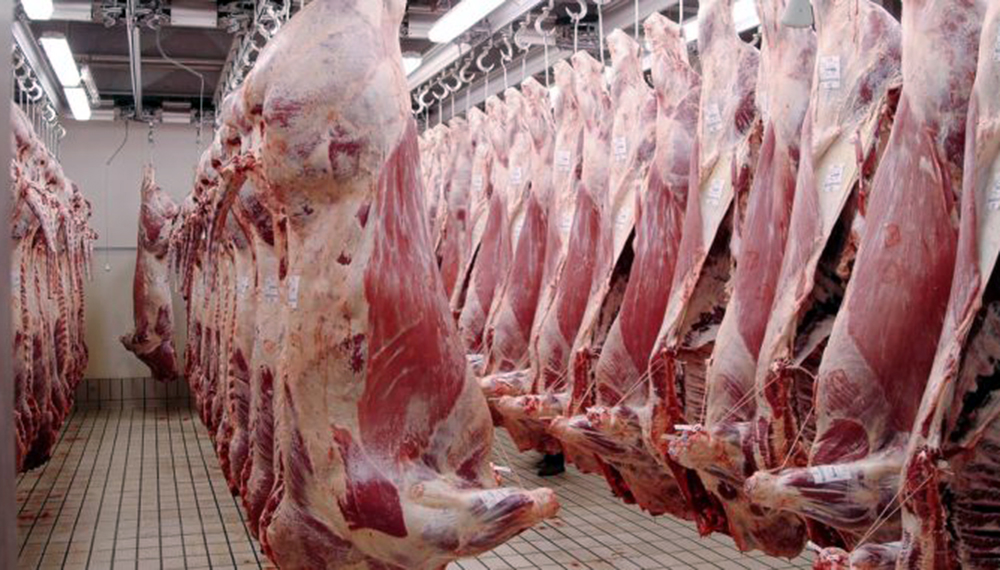 El Gobierno Nacional oficializó la exportación de carne a Serbia