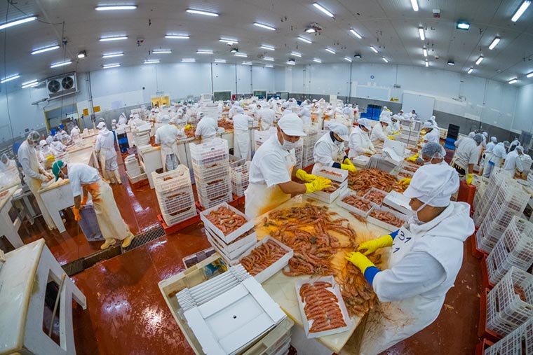 Cafiero entregó los Premios Exportar a 11 empresas del país y una pertenece al sector pesquero de Chubut