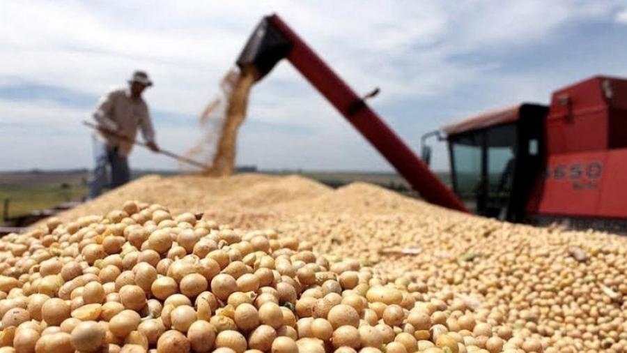 Productores vendieron 300.000 toneladas de soja en el reinicio del Programa de Incremento Exportador