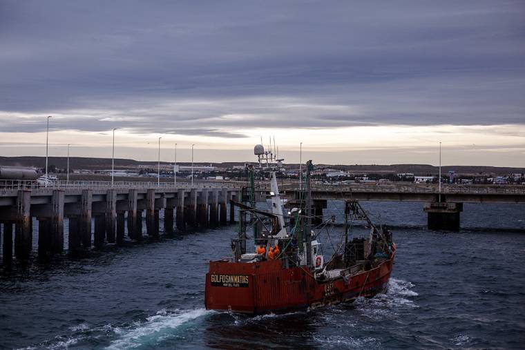 Puerto Madryn encabeza el ranking de puertos argentinos con descarga de langostinos y fue destacado por Nación