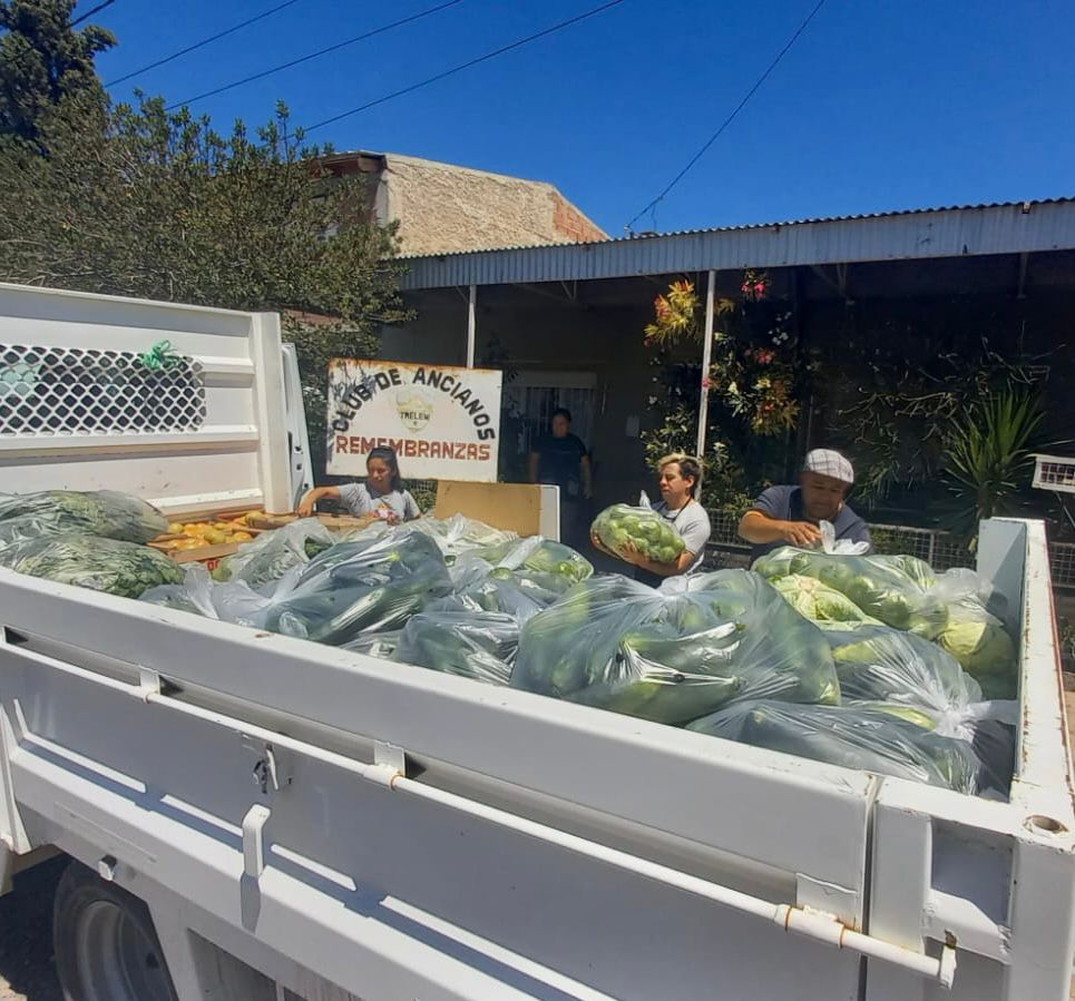 Trelew: El Municipio destinó 1200 kilos de verdura a residencias de Personas Mayores y comedores comunitarios