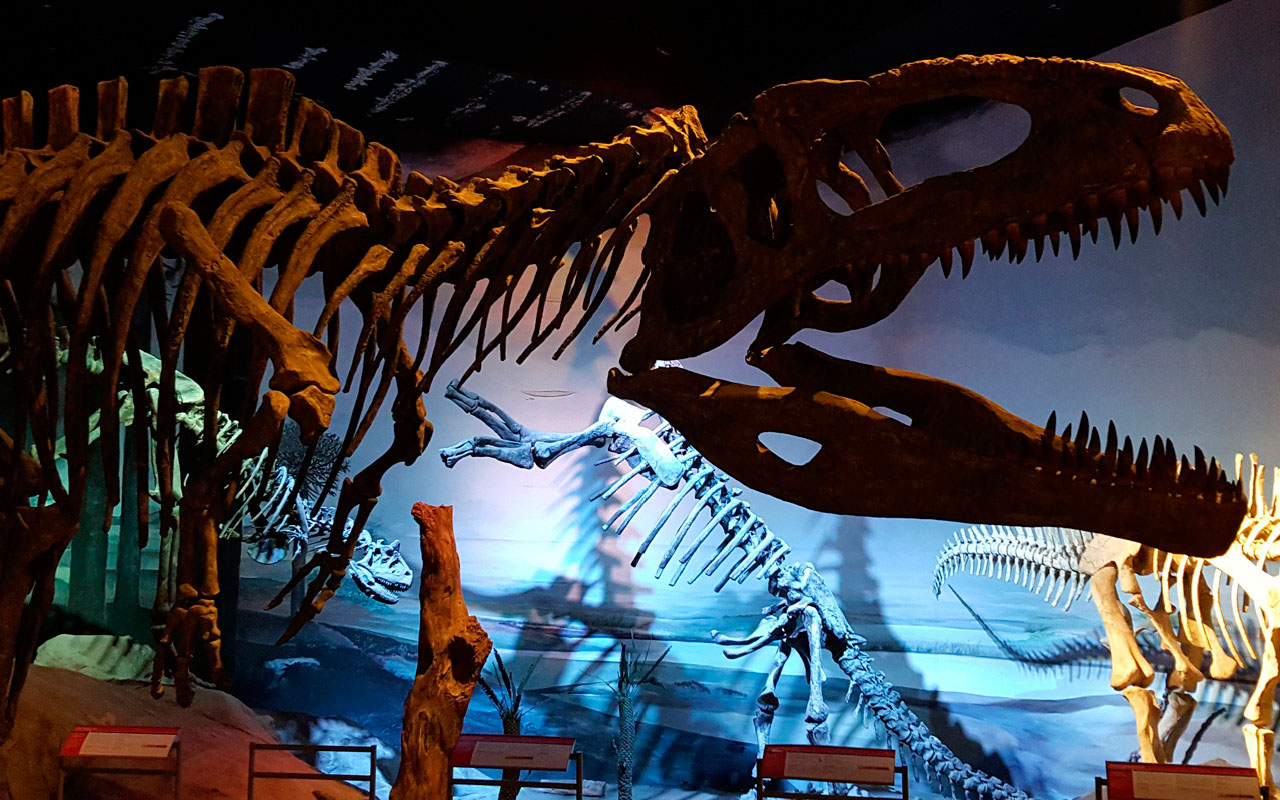 El museo paleontológico de Trelew ampliará las instalaciones y se transformará en uno de los más grandes del mundo