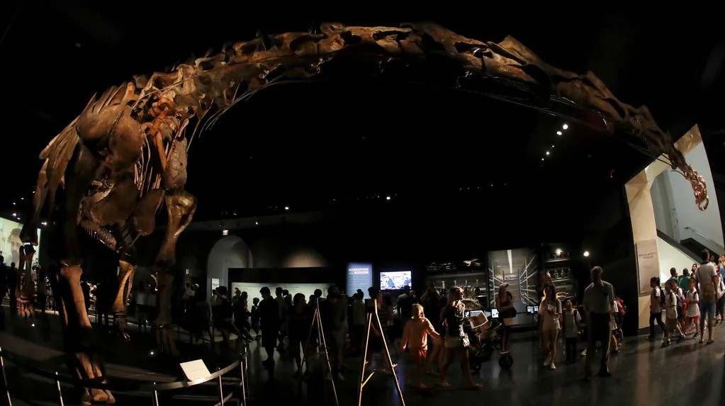 De Trelew al mundo: El Patagotitan, el dinosaurio más grande de la historia llegó a Londres
