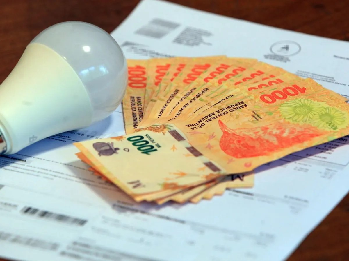 Otro golpe al bolsillo: Anticipan que “habrá una nueva actualización” de las tarifas de electricidad